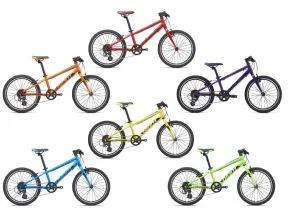 Giant Arx 20 Kids Mountain Bike 2021